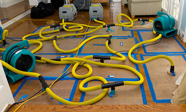 Professional Water Damage Restoration technician working in Montrose, SD